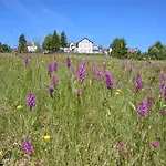 Отель Schoene Aussicht Массерберг