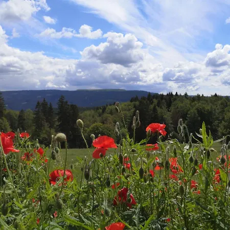 斯科恩奥斯赫特酒店 酒店 马瑟尔贝格