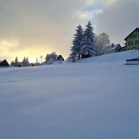 Hotel Schoene Aussicht 3*