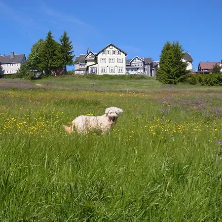 Schoene Aussicht Hotel Masserberg