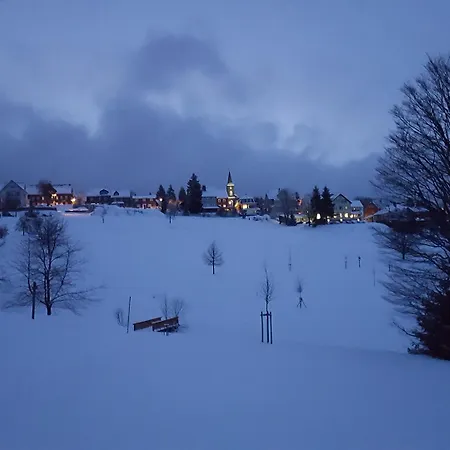 Hotel Schoene Aussicht 3*