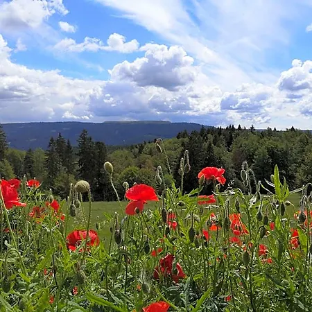 Schoene Aussicht 3* Masserberg