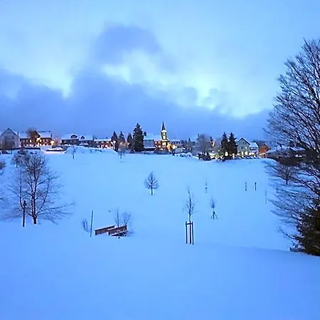 Schoene Aussicht Hotel 3*