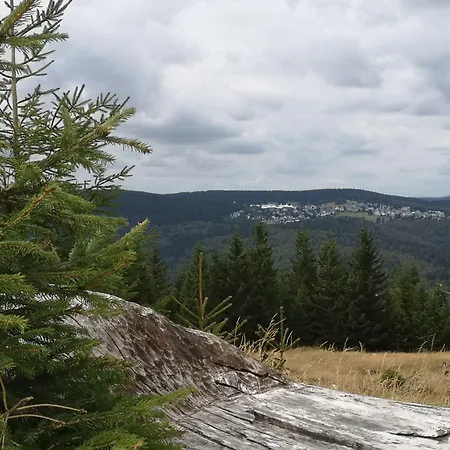 Hotel Schoene Aussicht Masserberg