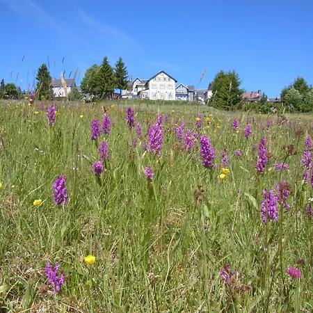 Hotel Schoene Aussicht Masserberg