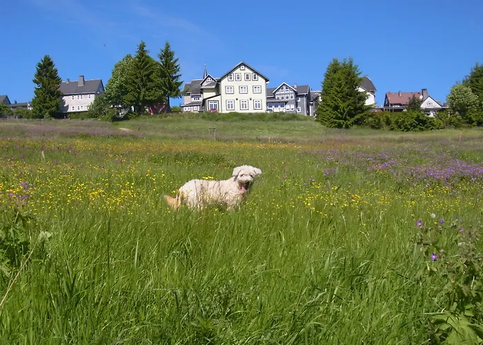 Schöne Aussicht Hotel Masserberg
