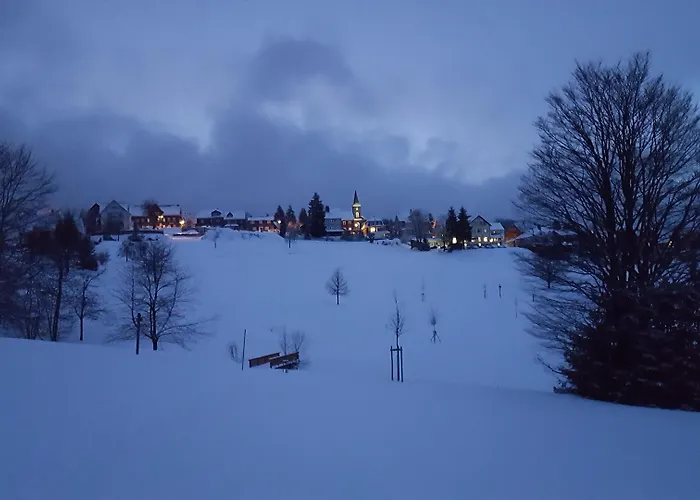 Hotel Schoene Aussicht 3*