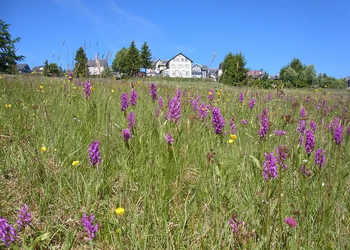 Hotel Schoene Aussicht Masserberg